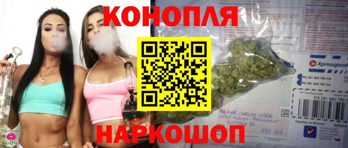 Бошки Шишки семена Нягань